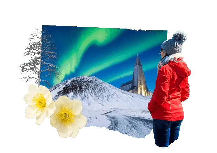 Saviez-vous qu'en Islande ?