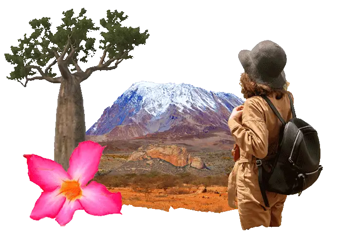 Sapevi che in Tanzania