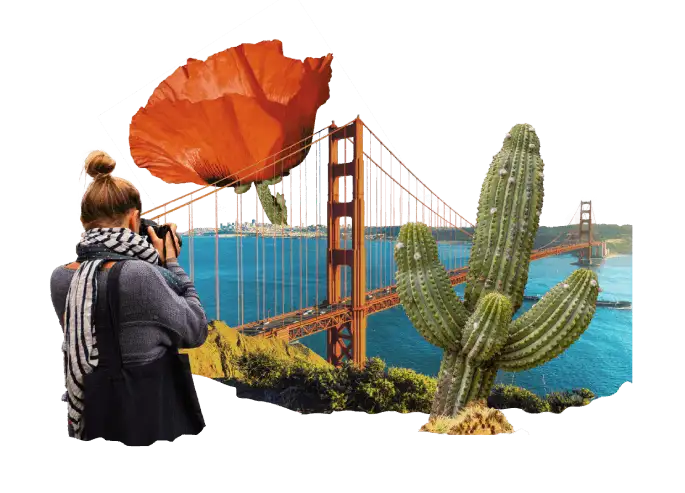 Știai că în Statele Unite