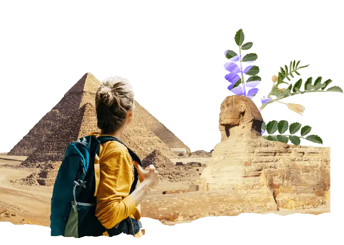 Travel insurance for Egypt