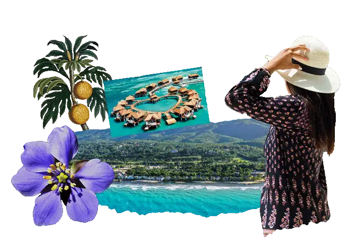 Did you know that in Jamaica