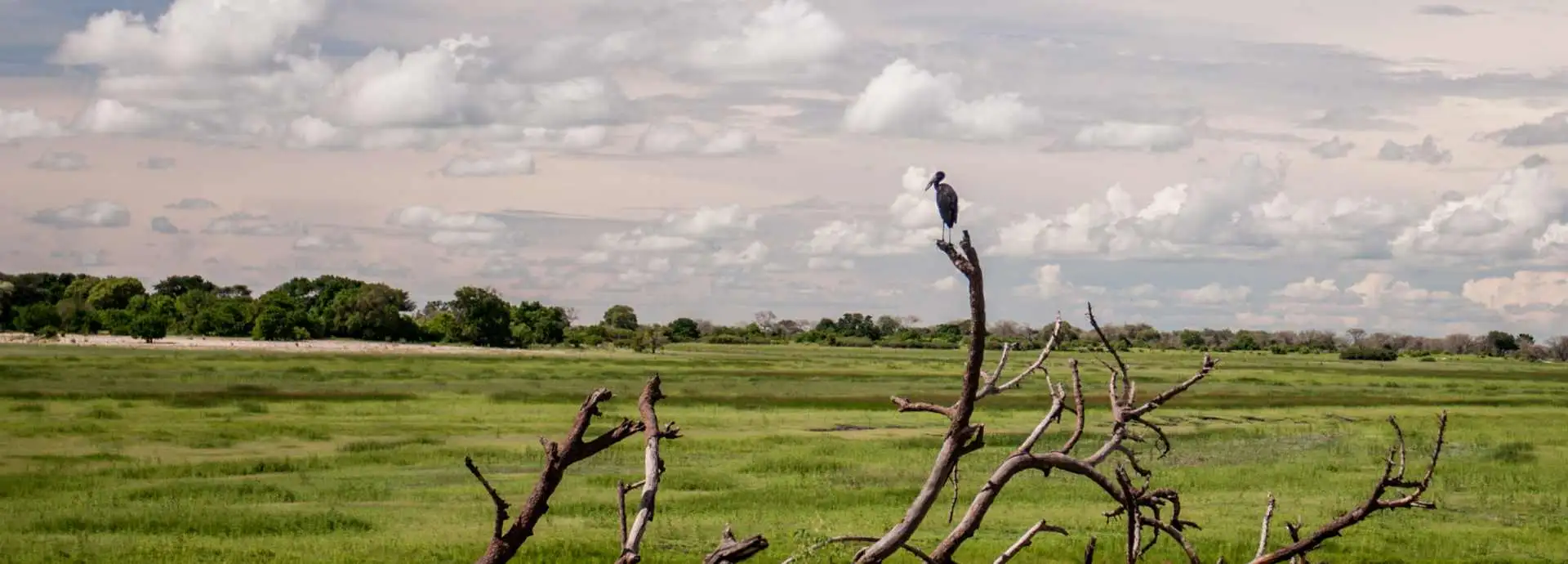 Seguro de viaje a Nueva York