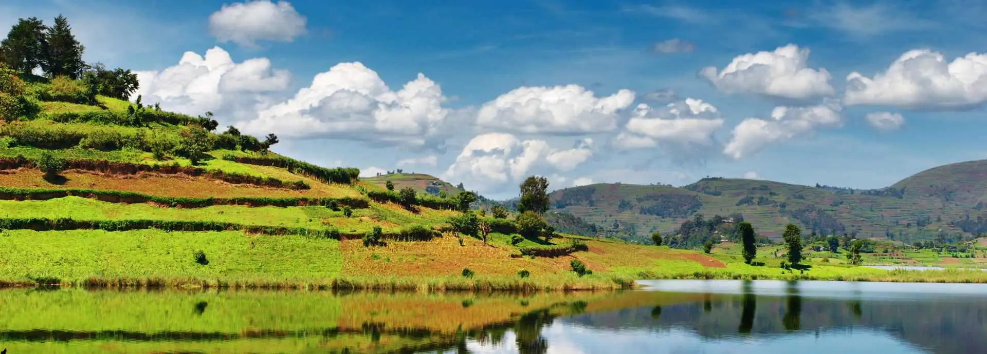 Assicurazione di viaggio per New York