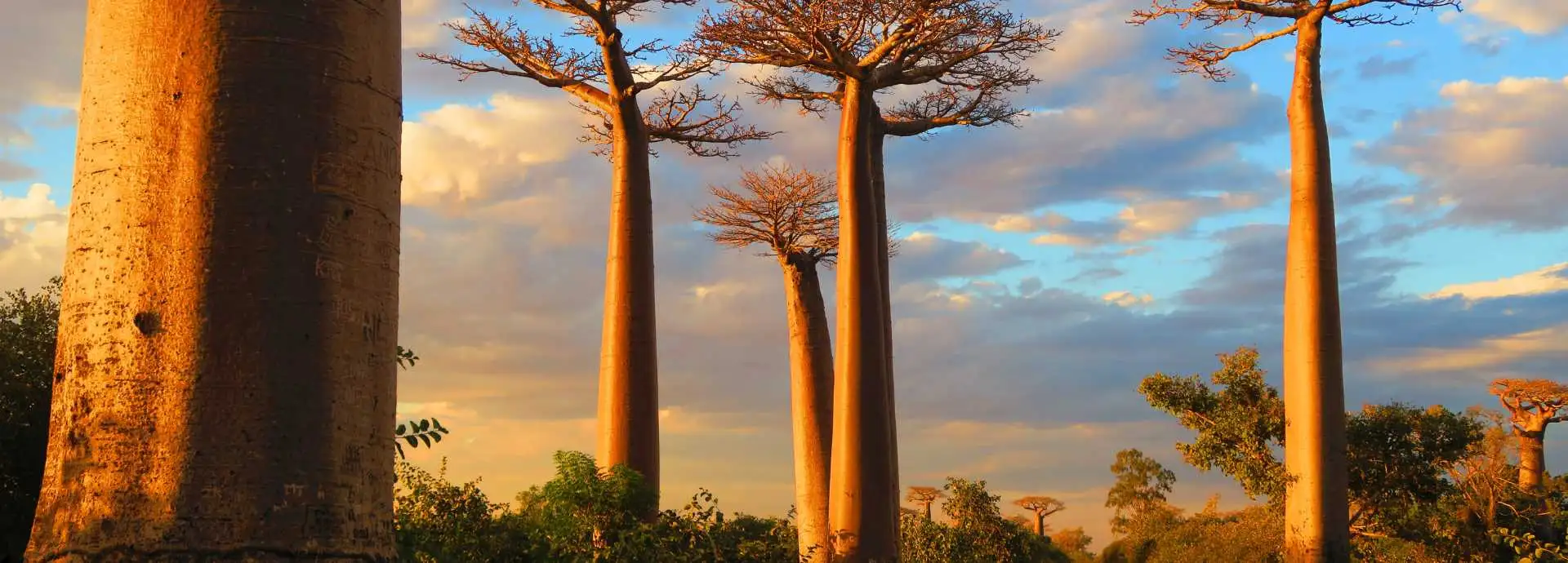 Assicurazione di viaggio per New York