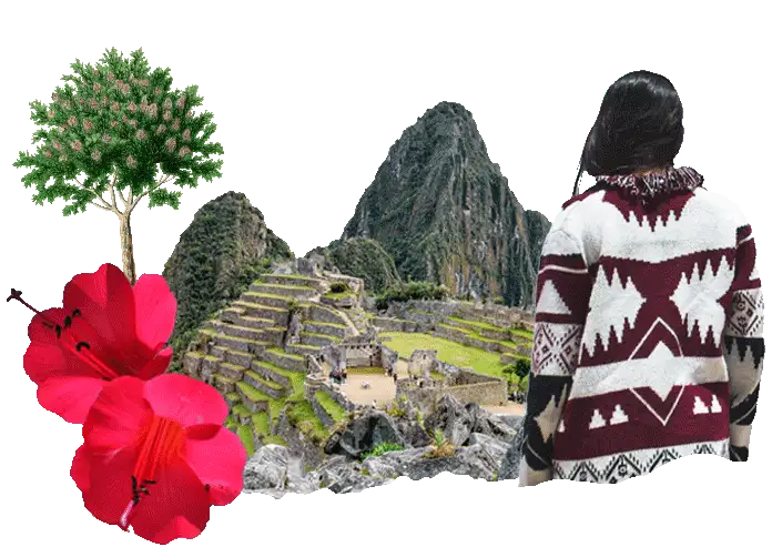 Travel insurance for Peru