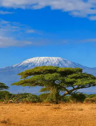 Seguro de viaje a Tanzania