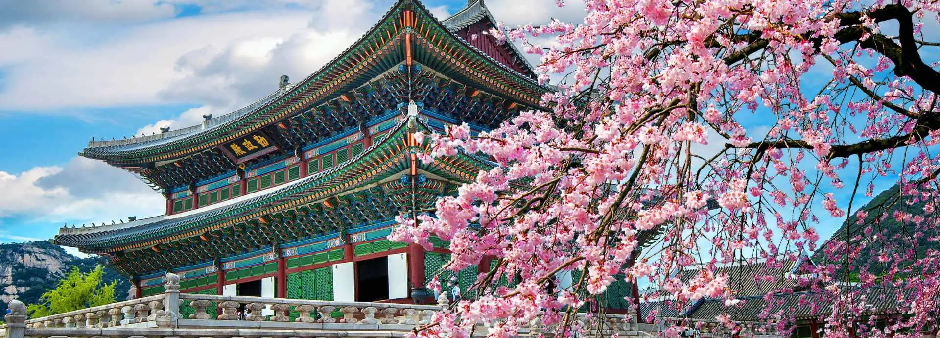 Seguro de viaje a Corea del Sur