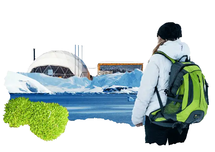 Did you know that in Antarctica