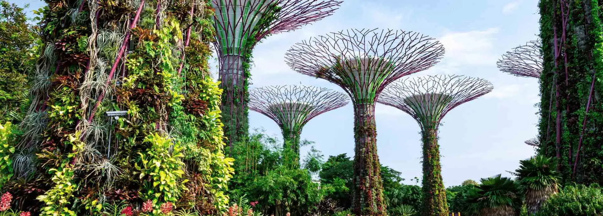 Seguro de viaje a Singapur