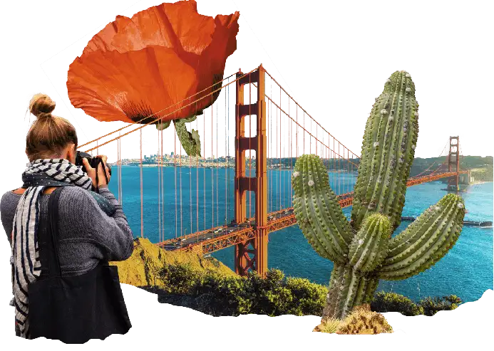 Did you know that in the U.S.