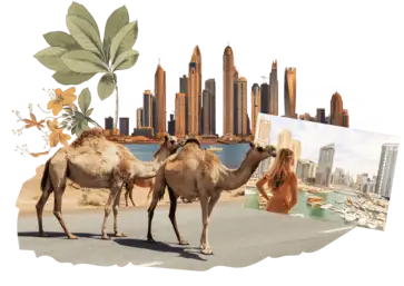 Did you know that in the UAE