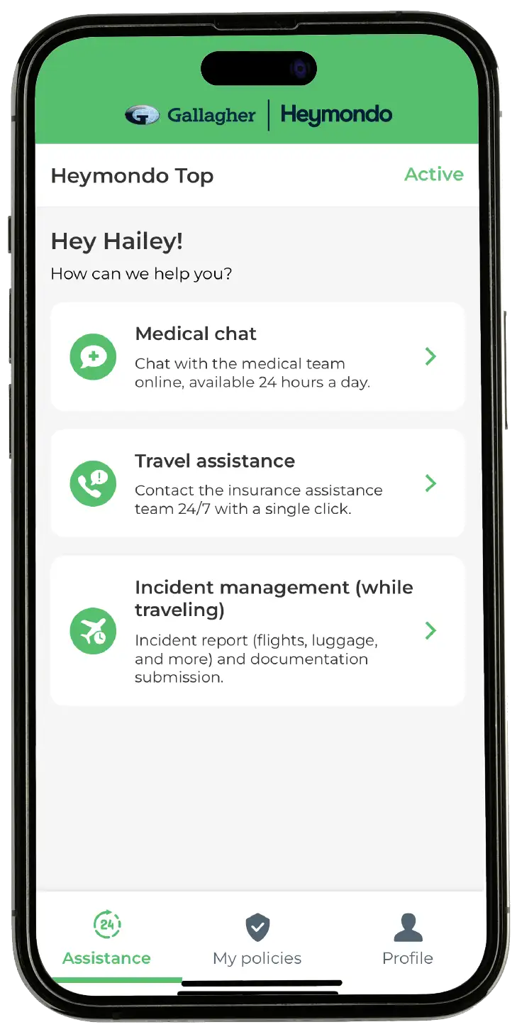 Travel Assistance App Travel Assistance App