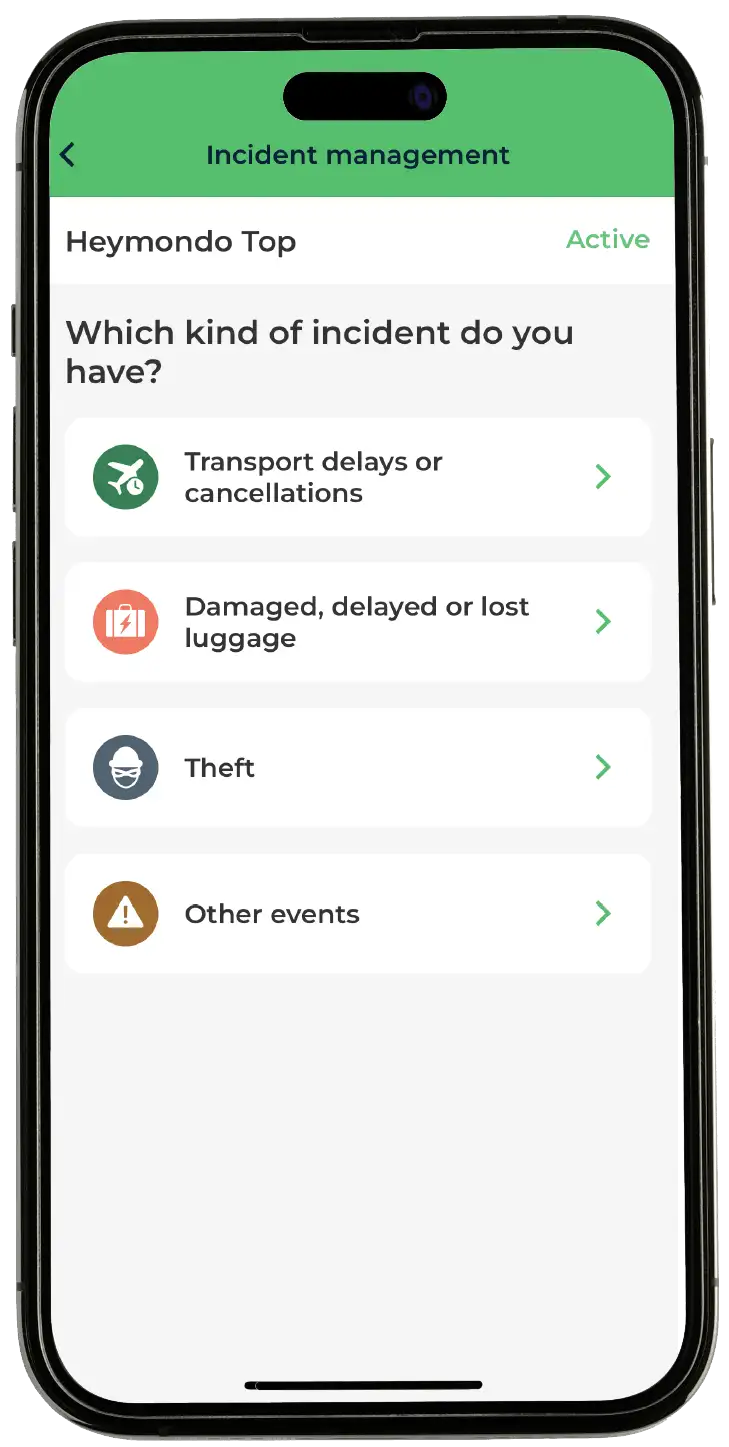 Travel Assistance App